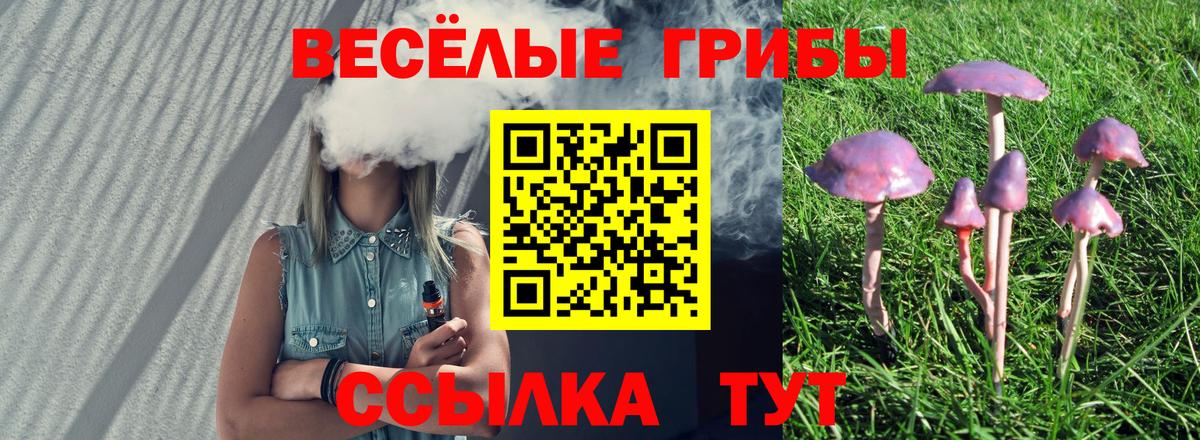 Армавир  Галлюциногенные грибы Psilocybe  Вход с VPN 